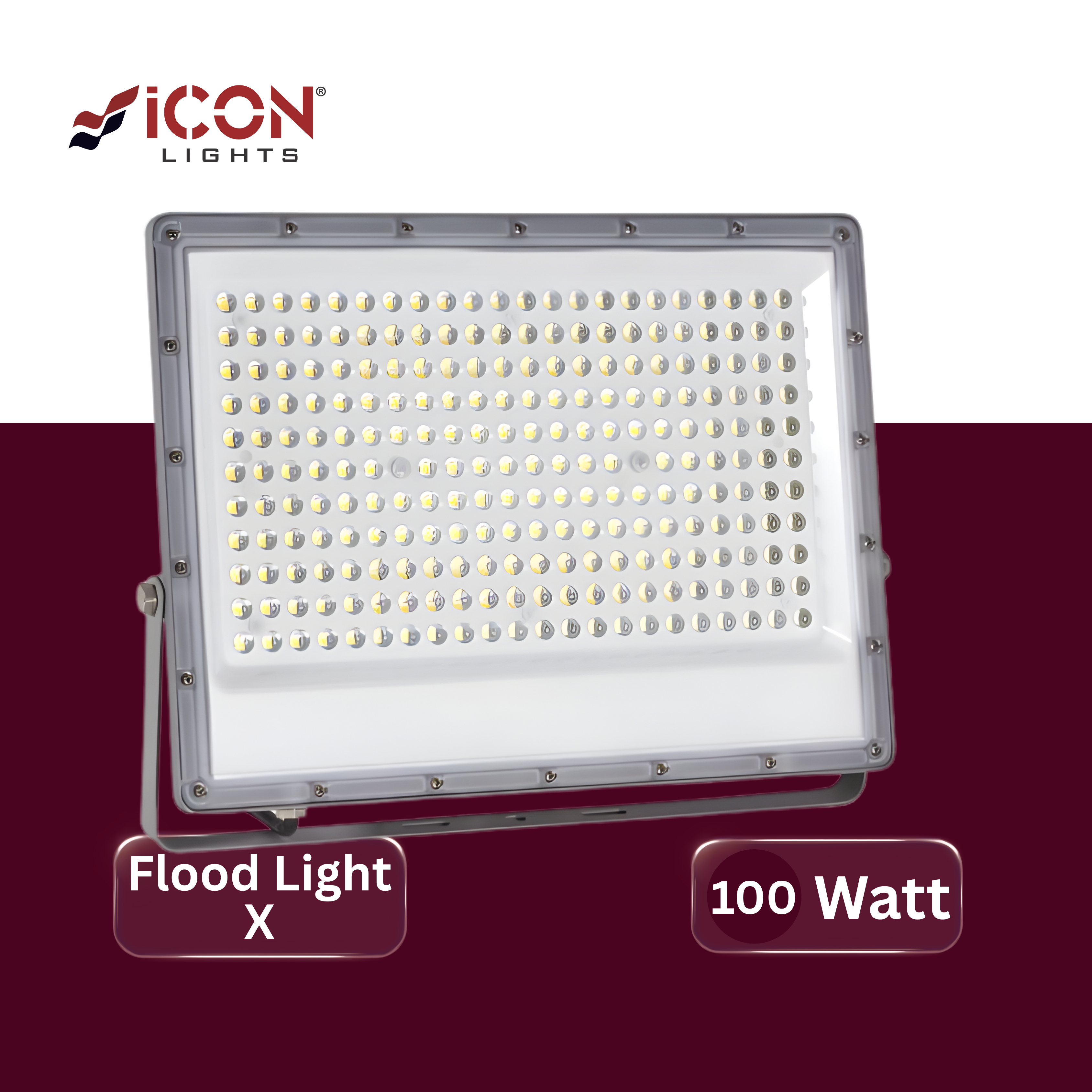 LED Flood Light X 100W