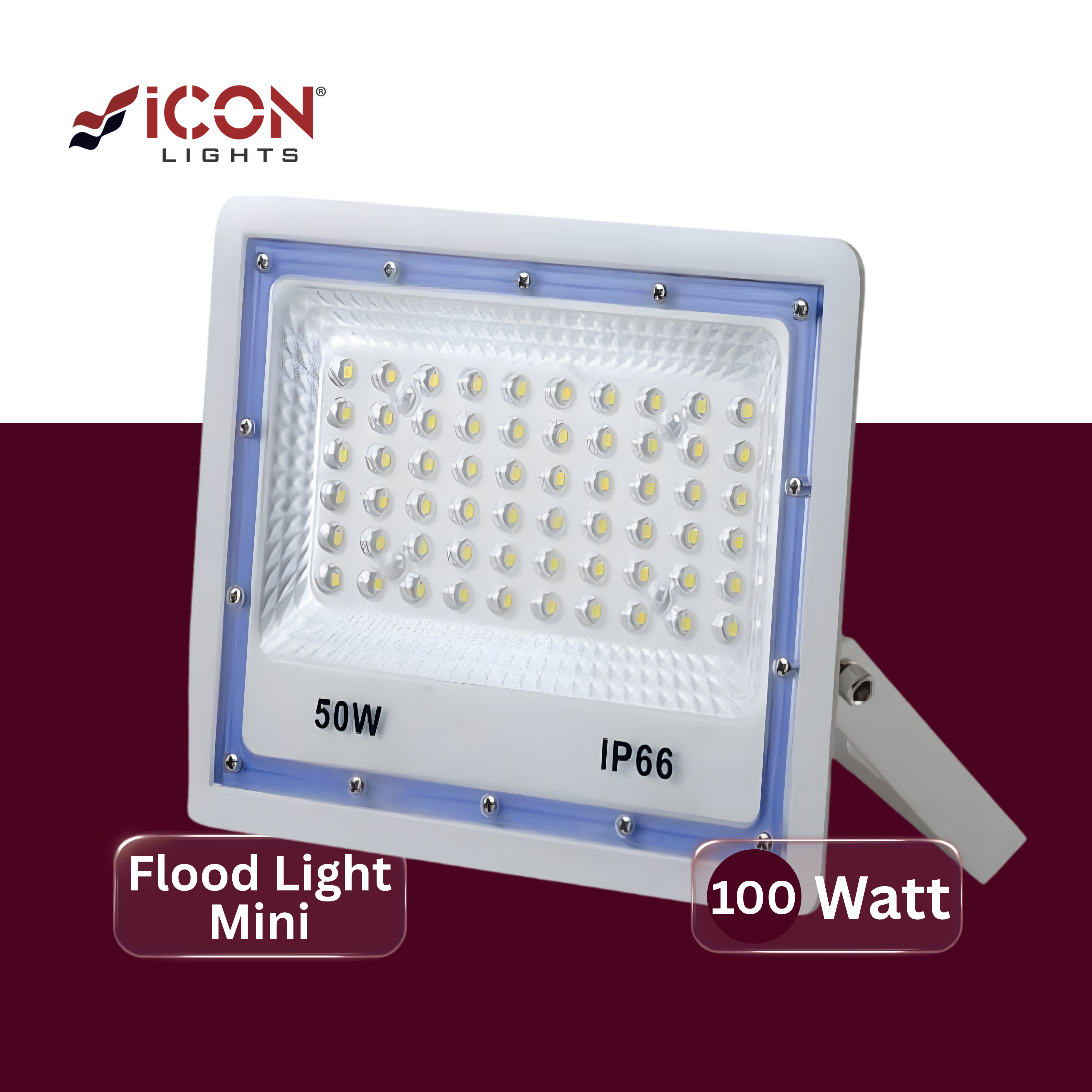 LED Flood Mini 100W
