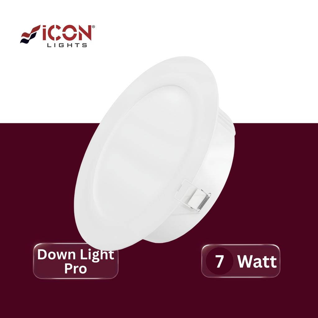 LED Down Light Pro
