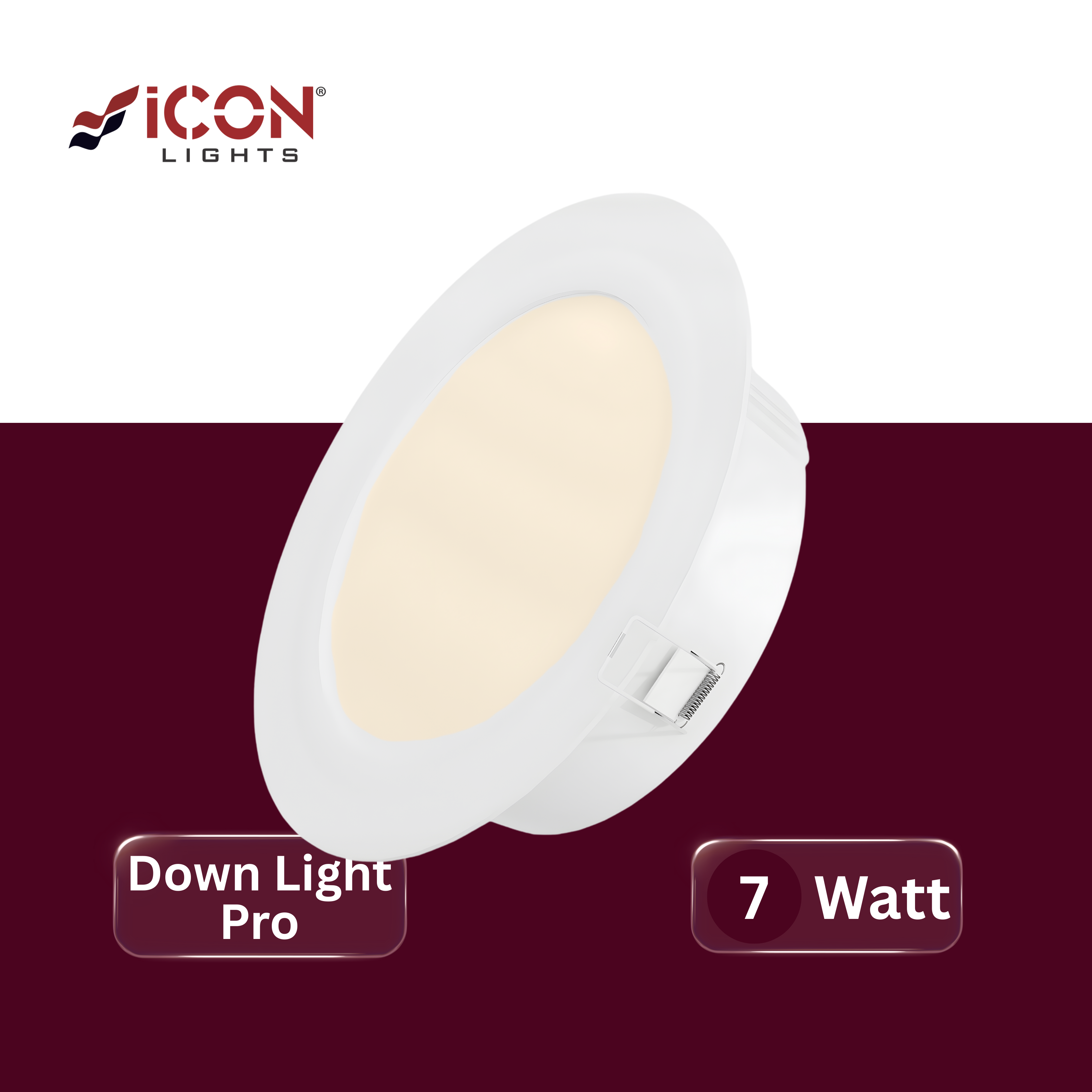 LED Down Light Pro