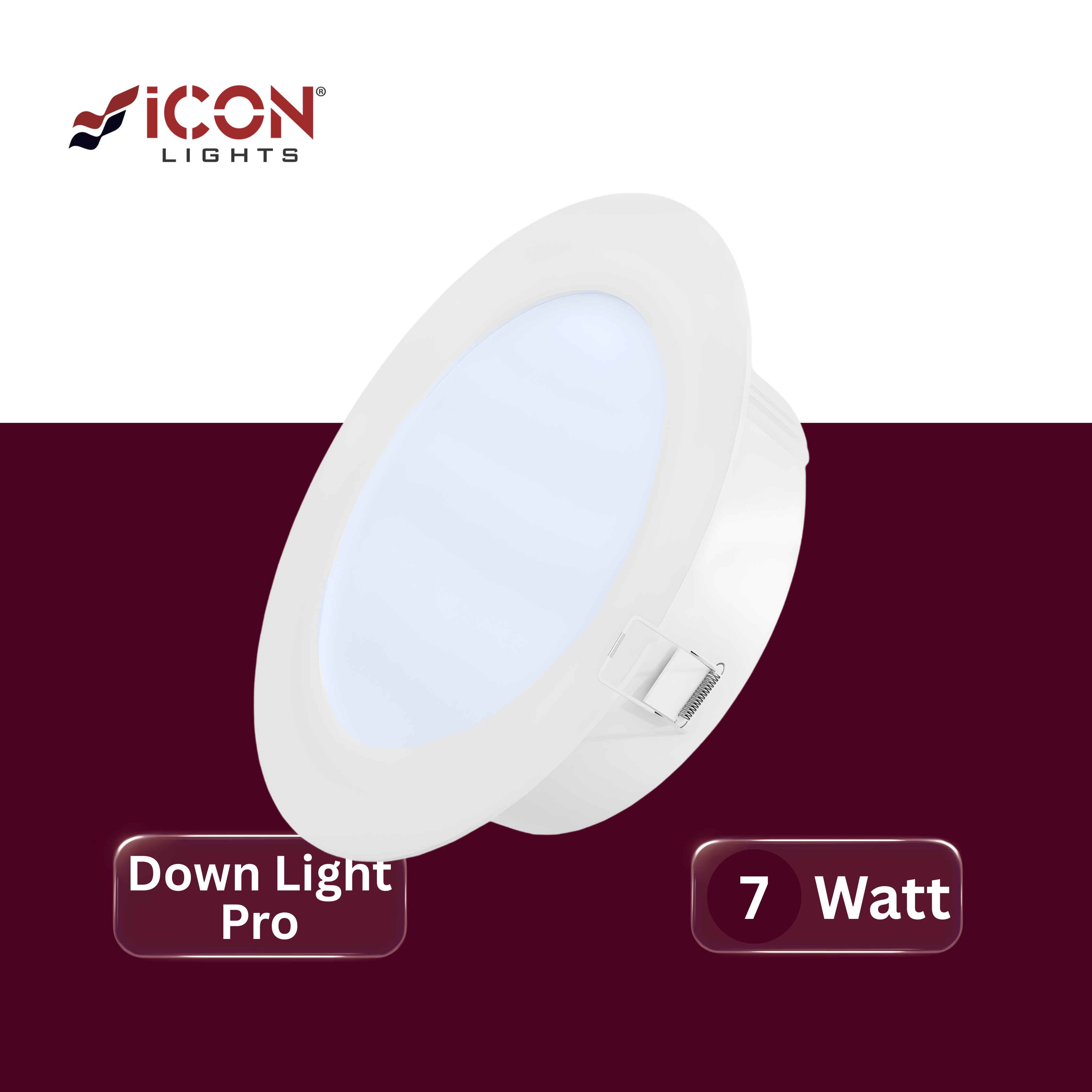 LED Down Light Pro